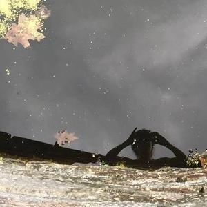 Meet your Posher, Dori